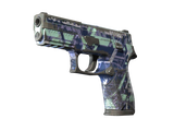 Artwork for [BS] SV P250 | Digital Architect