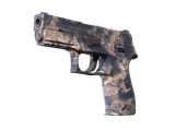 Artwork for [FN] SV P250 | Drought