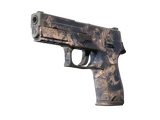 Artwork for [FT] SV P250 | Drought