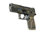 Artwork for [FT] SV P250 | Exchanger