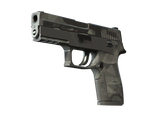 Artwork for [BS] SV P250 | Facets