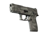 Artwork for [MW] SV P250 | Facets