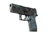 Artwork for [BS] SV P250 | Forest Night