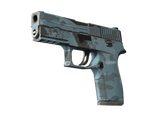 Artwork for [WW] SV P250 | Forest Night