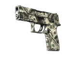 Artwork for [FT] SV P250 | Franklin
