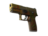 Artwork for [BS] SV P250 | Inferno