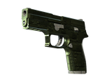 Artwork for [FN] SV P250 | Iron Clad