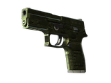 Artwork for [WW] SV P250 | Iron Clad