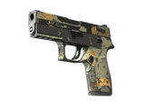 Artwork for [BS] SV P250 | Modern Hunter