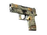 Artwork for [FT] SV P250 | Modern Hunter