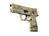 Artwork for [MW] SV P250 | Modern Hunter