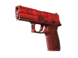 Artwork for [FT] SV P250 | Muertos