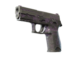Artwork for [BS] SV P250 | Plum Netting