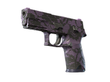 Artwork for [MW] SV P250 | Plum Netting