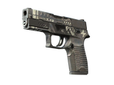 Artwork for [BS] SV P250 | Re.built