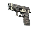 Artwork for [FT] SV P250 | Re.built