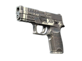 Artwork for [MW] SV P250 | Re.built