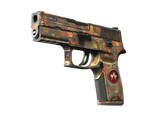 Artwork for [BS] SV P250 | Red Rock