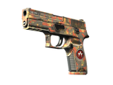 Artwork for [FN] SV P250 | Red Rock