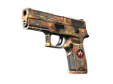 Artwork for [FT] SV P250 | Red Rock