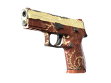 Artwork for [FT] SV P250 | Red Tide