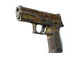 Artwork for [BS] SV P250 | Sedimentary