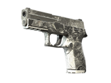 Artwork for [BS] SV P250 | Sleet