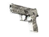 Artwork for [WW] SV P250 | Sleet