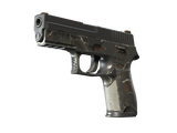 Artwork for [BS] SV P250 | Small Game