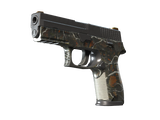 Artwork for [WW] SV P250 | Small Game