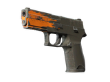 Artwork for [FT] SV P250 | Splash
