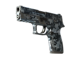 Artwork for [FT] SV P250 | Steel Disruption