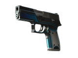 Artwork for [WW] SV P250 | Valence