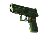 Artwork for [BS] SV P250 | Verdigris