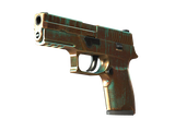 Artwork for [MW] SV P250 | Verdigris