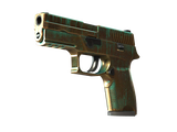 Artwork for [WW] SV P250 | Verdigris