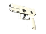 Artwork for [FN] SV P250 | Whiteout