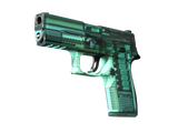 Artwork for [FT] SV P250 | X-Ray