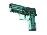 Artwork for [MW] SV P250 | X-Ray