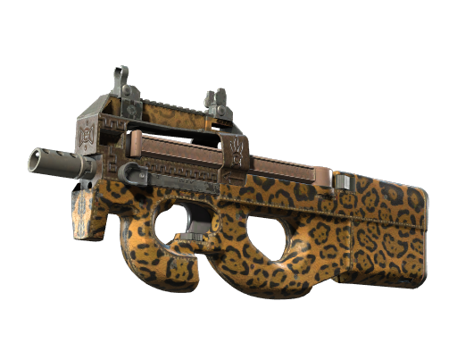 P90 | Run and Hide