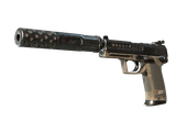 Artwork for [MW] SV USP-S | 27