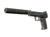 Artwork for [BS] SV USP-S | Royal Guard