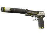 Artwork for [WW] SV USP-S | Torque