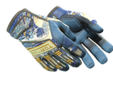Artwork for [MW] ★ Specialist Gloves | Big Swell