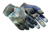 Artwork for [BS] ★ Specialist Gloves | Mogul