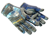 Artwork for [FT] ★ Specialist Gloves | Mogul
