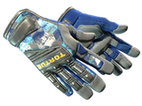 Artwork for [MW] ★ Specialist Gloves | Mogul