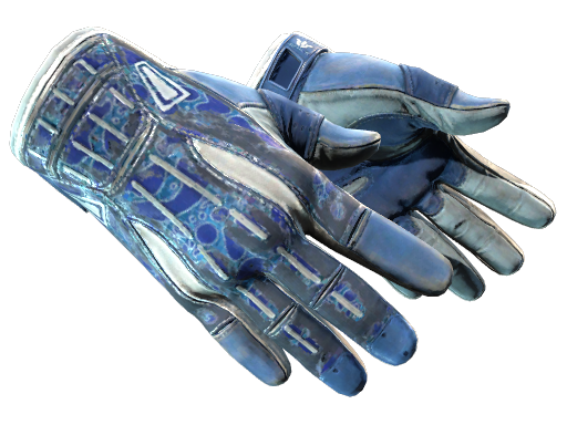 Sport Gloves | Amphibious