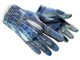 Artwork for [BS] ★ Sport Gloves | Amphibious