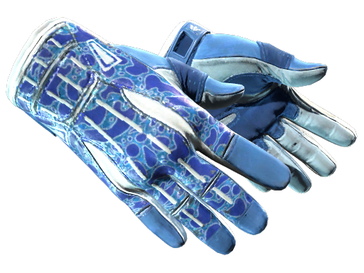 Sport Gloves | Amphibious